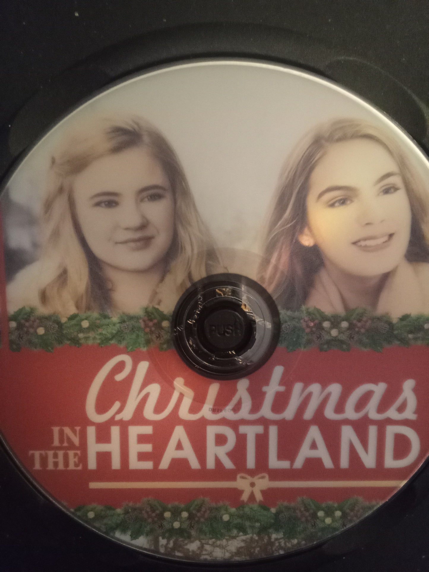 Christmas in the Heartland (2017) DVD with Shelly Long ***SALE***$10.99