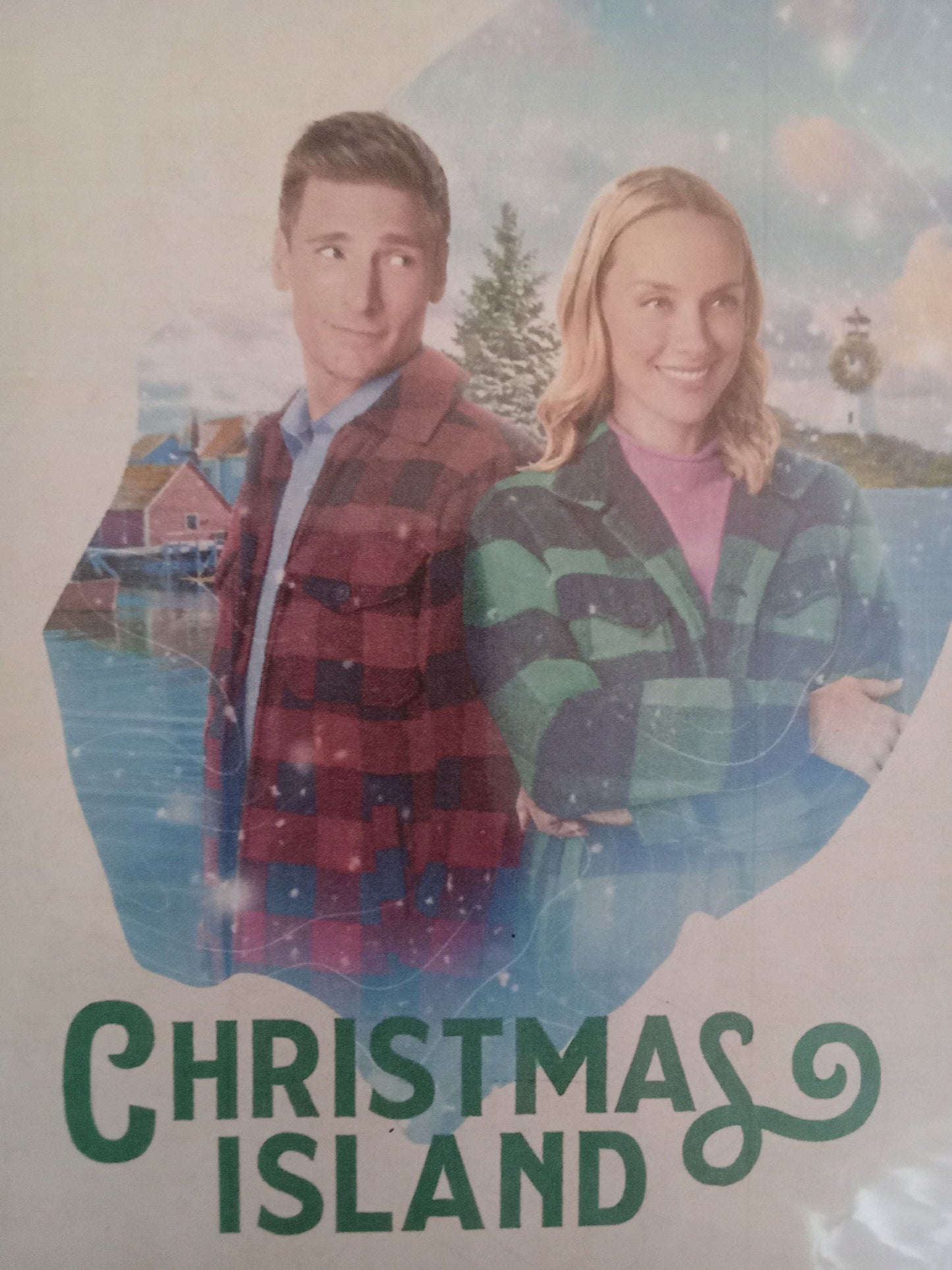 Christmas Island (2023) DVD with Rachel Skarsten & Andrew Walker in a DVD case