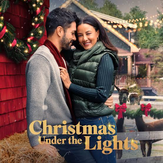 Christmas Under the Lights (2024) DVD with Heather Hemmens & Mario Grazzini in a DVD CASE/COVER ART $14.10