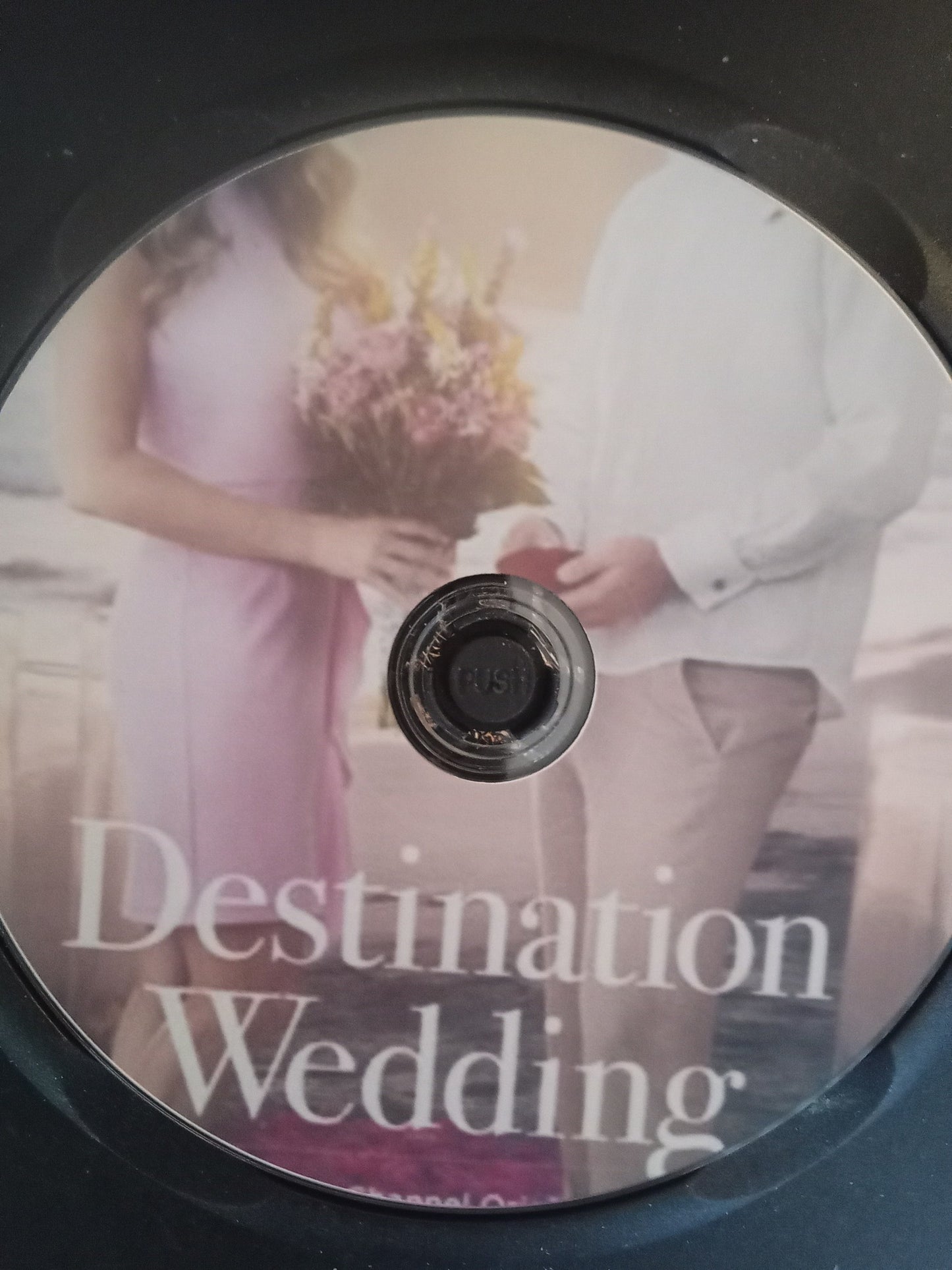 Destination Wedding (2017) with Alexa PenaVega
