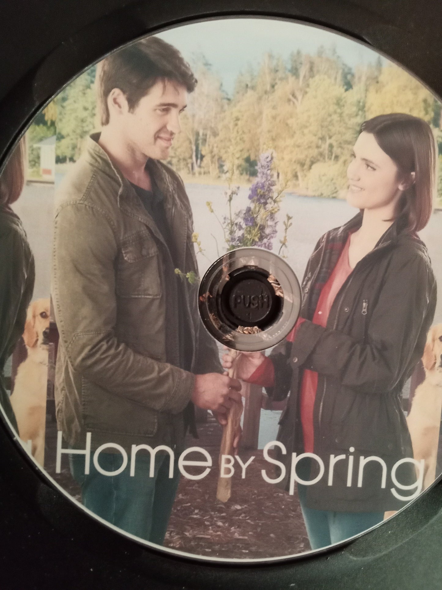 Home By Spring (2018) DVD with Poppy Drayton