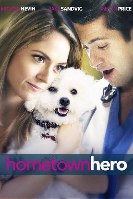 Hometown Hero (2017) DVD with Brooke Nevin