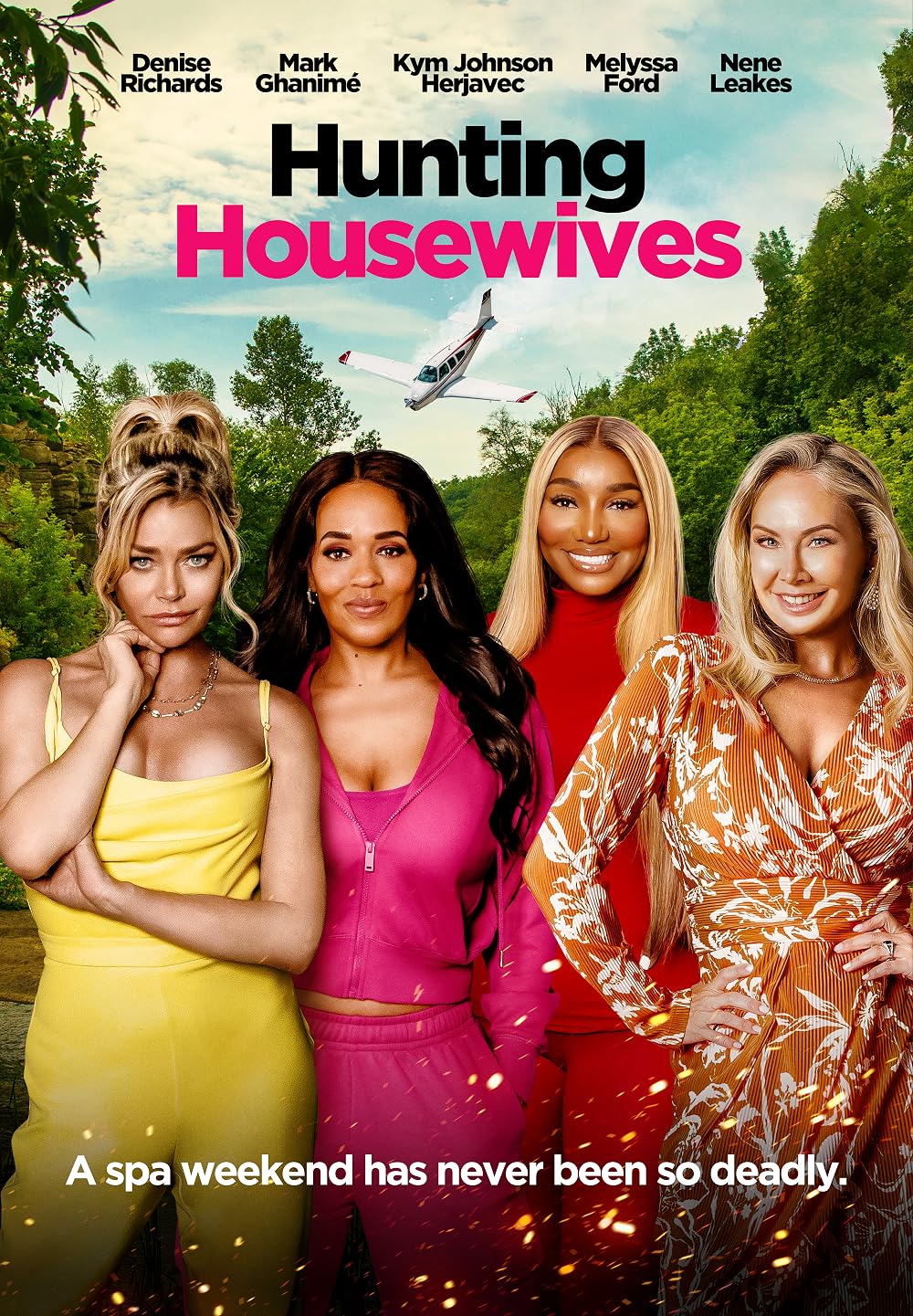 Hunting Housewives (2024) DVD with Denise Richards, Nene Leakes in a DVD CASE/COVER ART $14.25