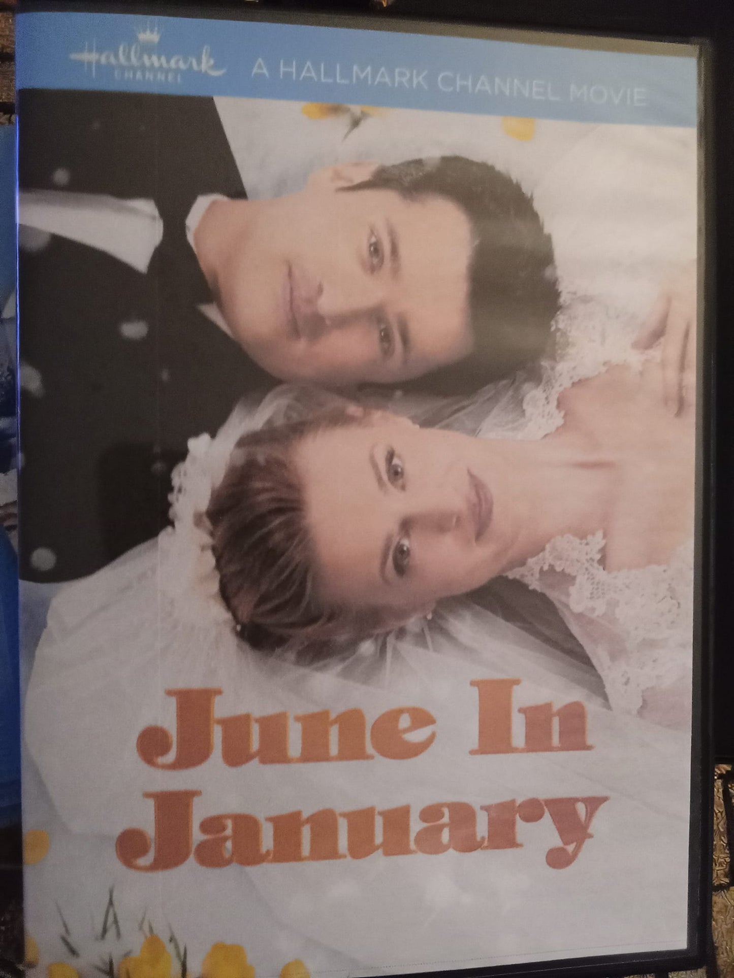 June in January (2014) DVD with Brooke D'Orsay and Wes Brown in a DVD case with the artwork ***SUPER SALE**