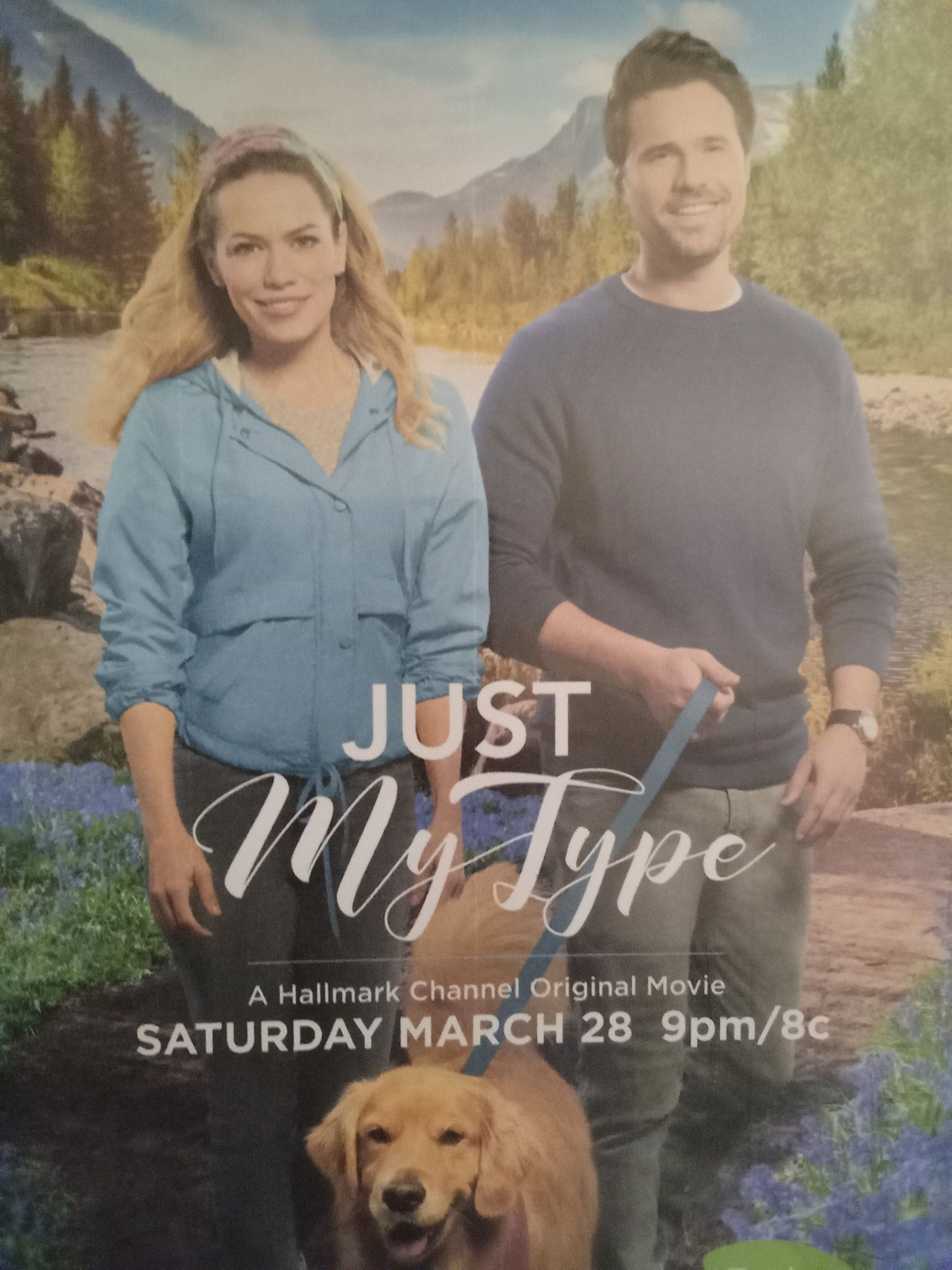 Just My Type (2020) DVD with Bethany Joy Lenz &  Brett Dalton in a DVD Case with cover art