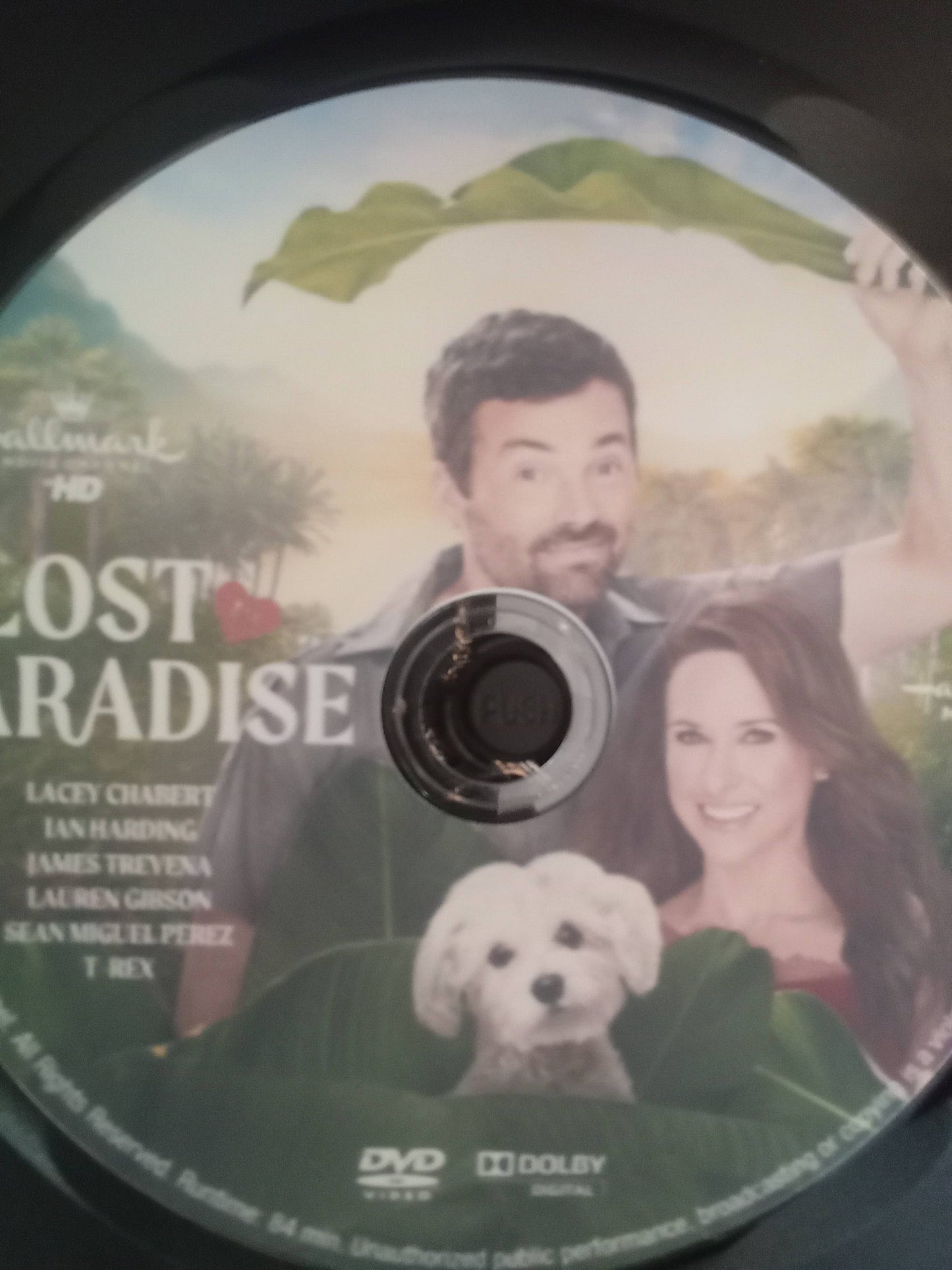 Lost In Paradise (2026) DVD with Lacey Chabert & Ian Harding