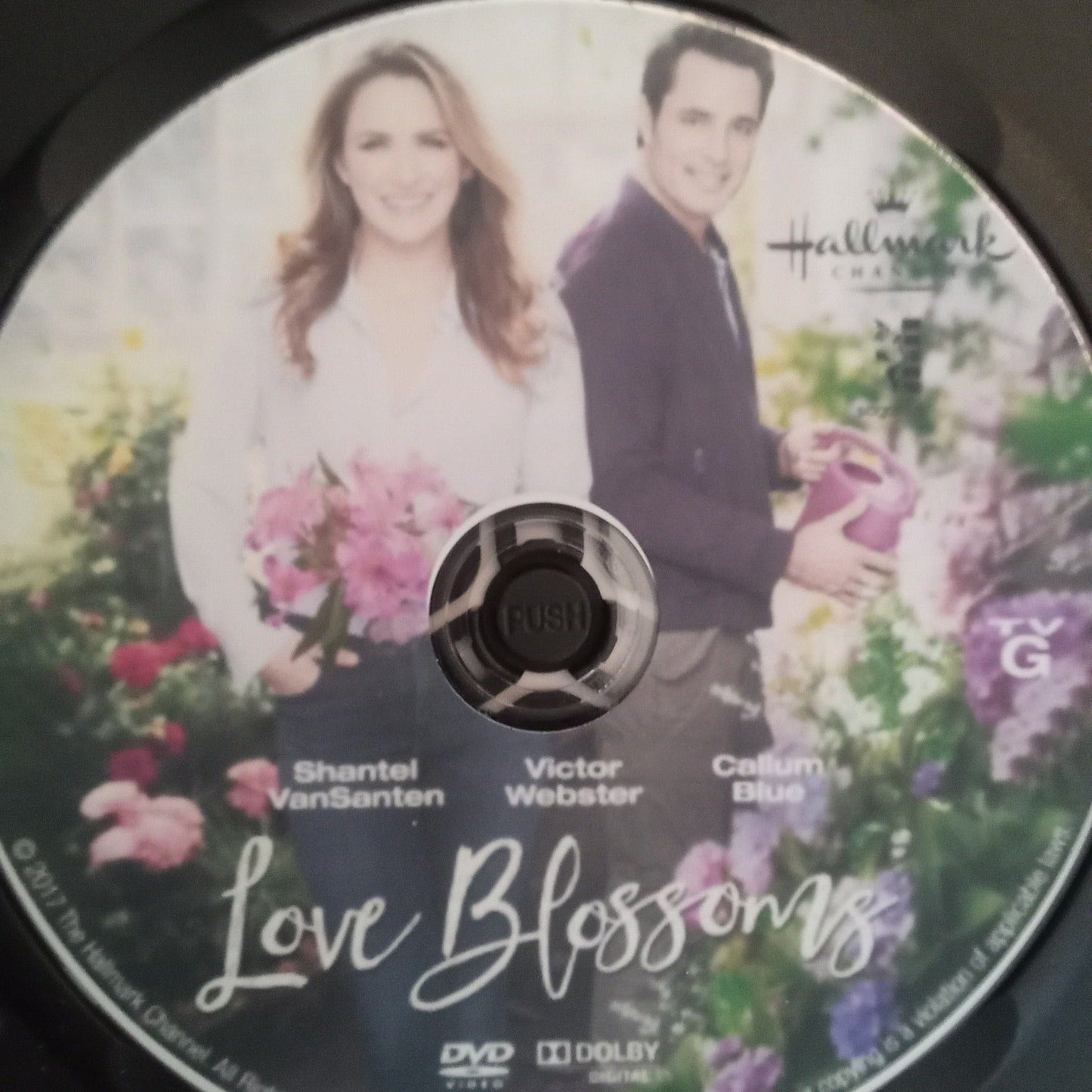 Love Blossoms (2017) DVD with Shantel VanSanten & Victor Webster in a DVD Case with cover art