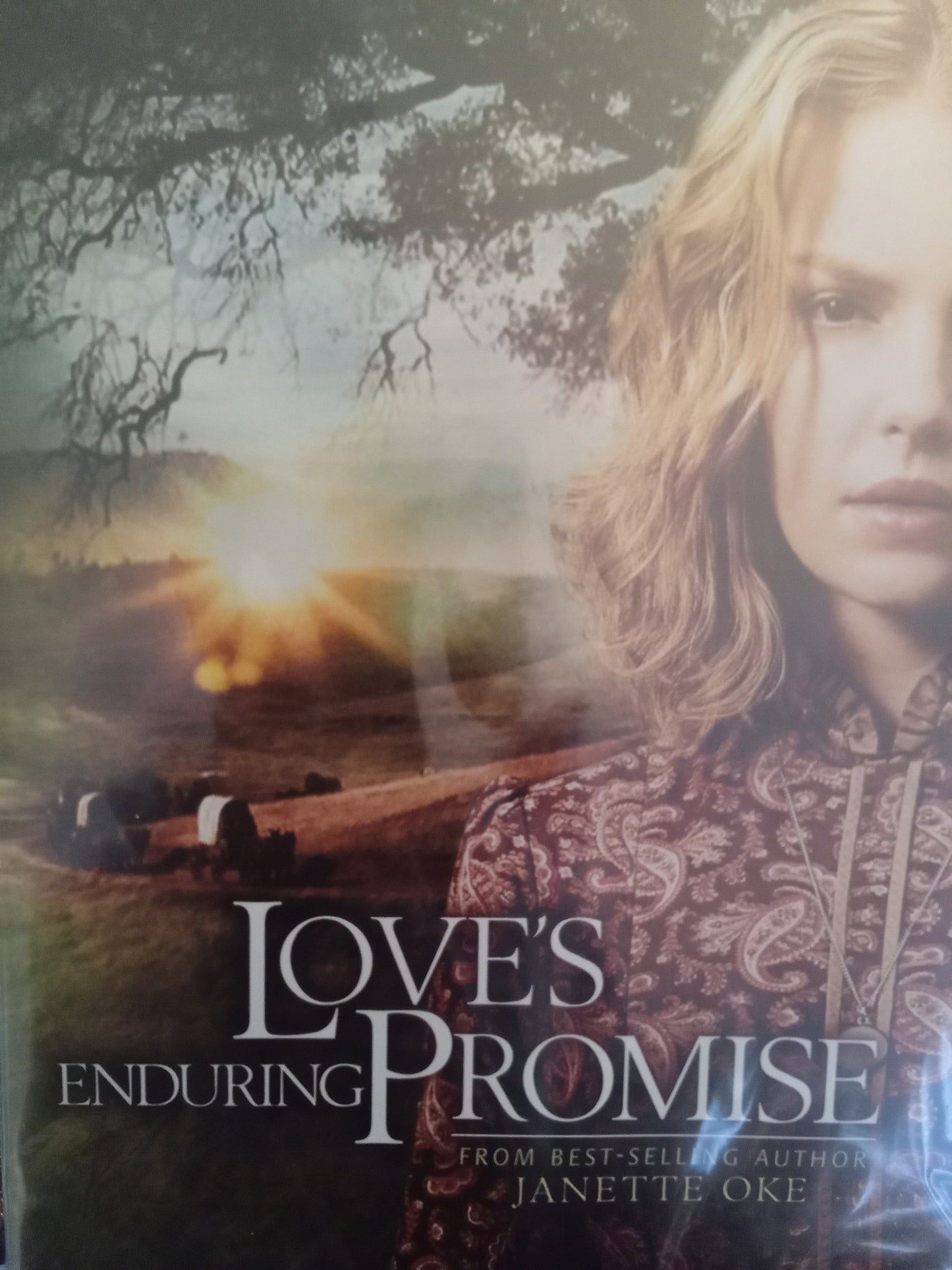 Love's Enduring Promise (2004) DVD with Katherine Heigl in a DVD Case/Shrink wrapped (I overbought!)