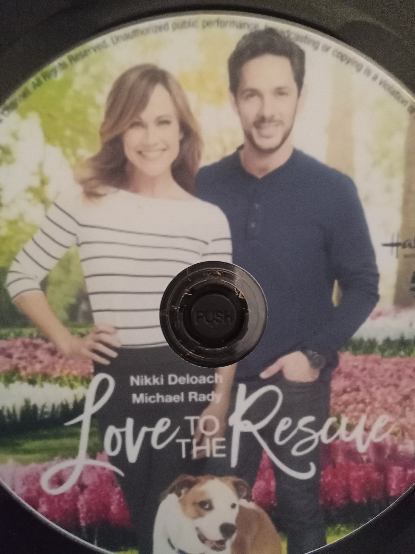 Love to the Rescue (2019) DVD with Nikki DeLoach & Michael Rady