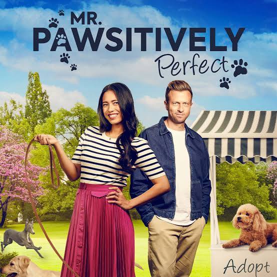 Mr. Pawsitively Perfect (2023) DVD with Jamie Spilchuk ***SALE $11.99!!!