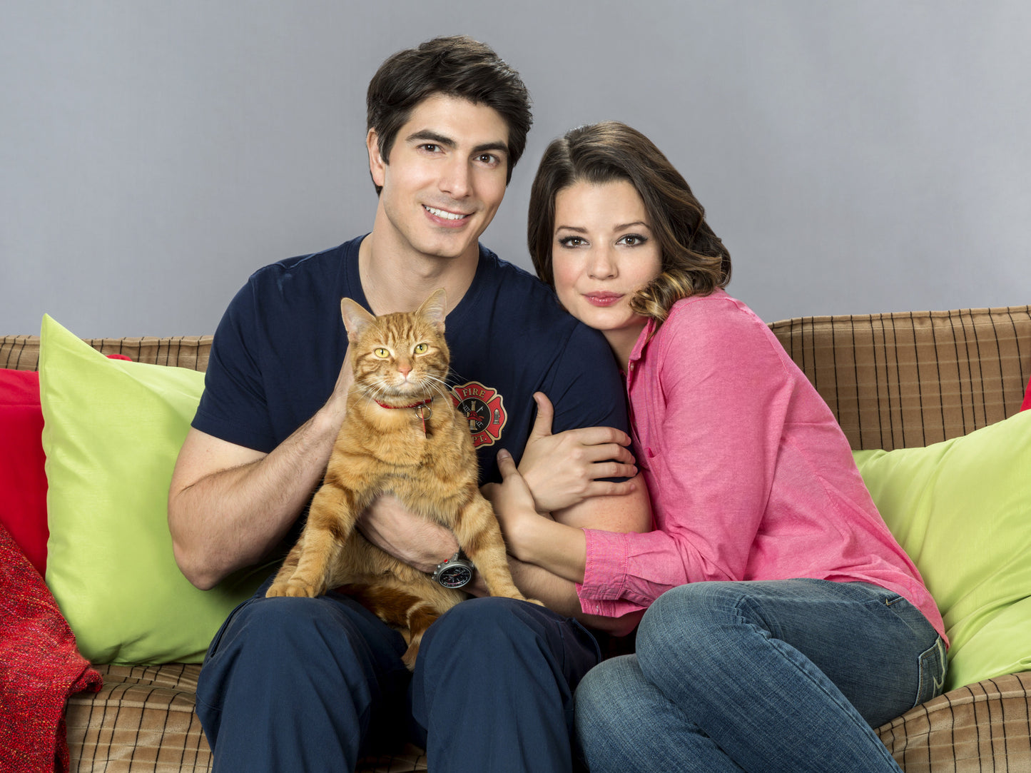 The Nine Kittens of Christmas (2021) DVD with Kimberly Sustad & Brandon Routh in a DVD CASE/COVER ART $10.25