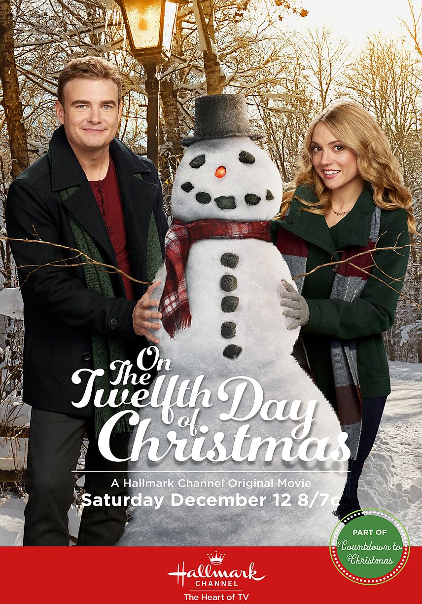 On the Twelfth Day of Christmas (2015) DVD with Brooke Nevin & Robin Dunne in a DVD CASE with COVER ART  **SALE $14.25