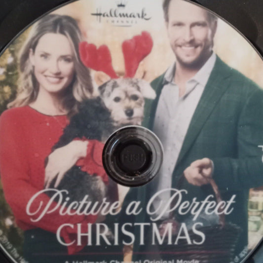 Picture a Perfect Christmas (2019) DVD with Merritt Patterson