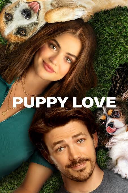 Puppy Love (2023) DVD with Lucy Hale