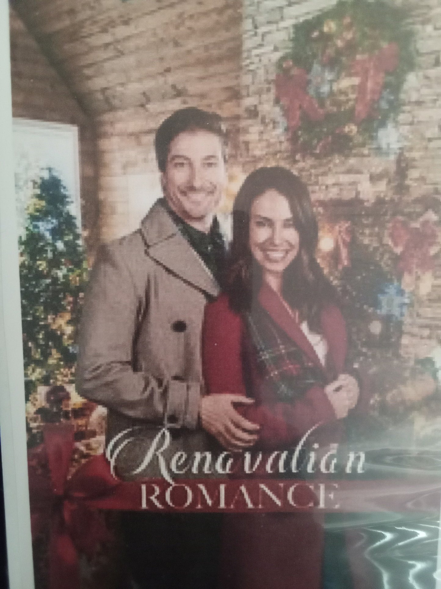 Renovation Romance (2024) DVD with Jessica Lowndes & Daniel Lissing in a DVD CASE with COVER ART