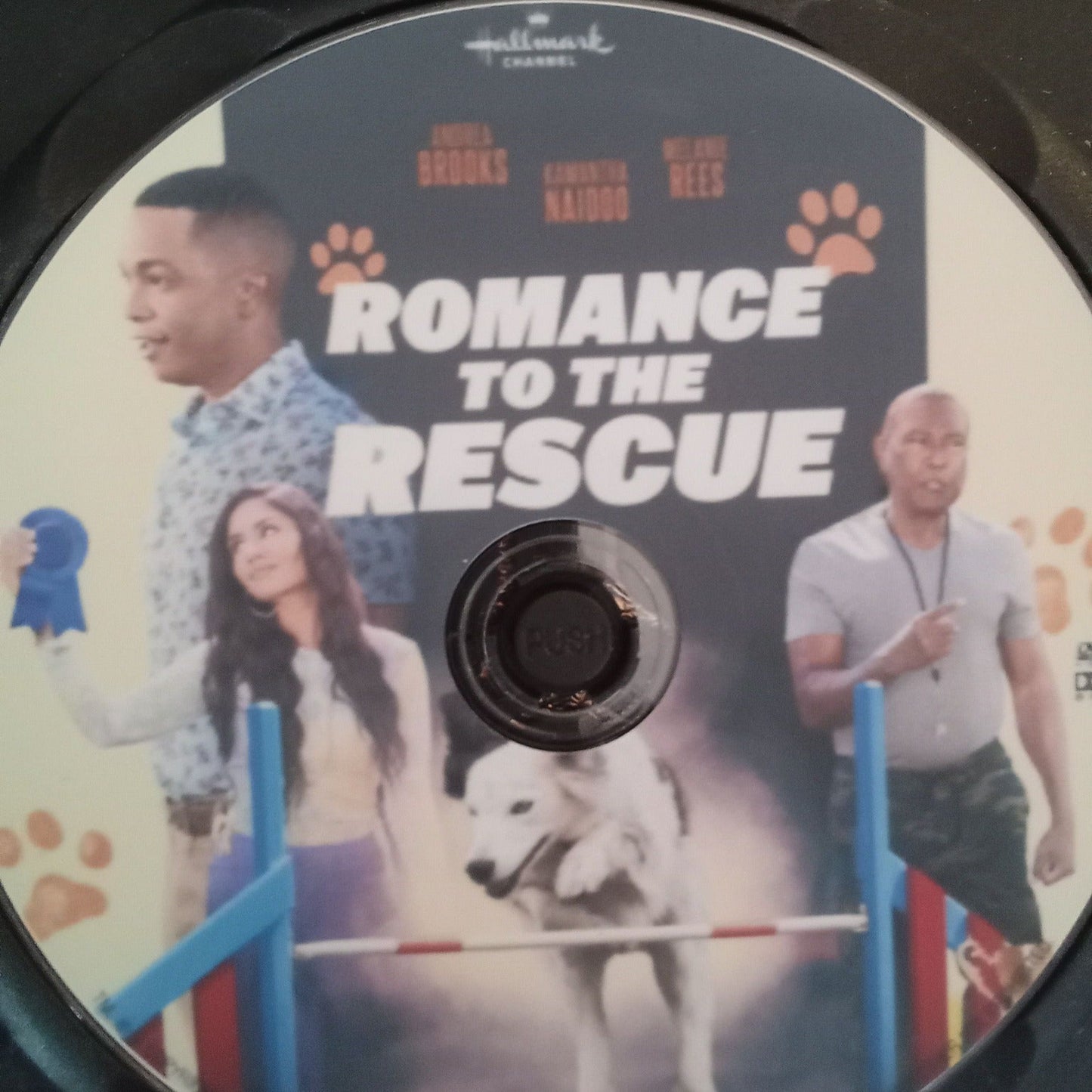 Romance to the Rescue (2022) DVD with Andrea Brooks & Marcus Rosner **SALE**