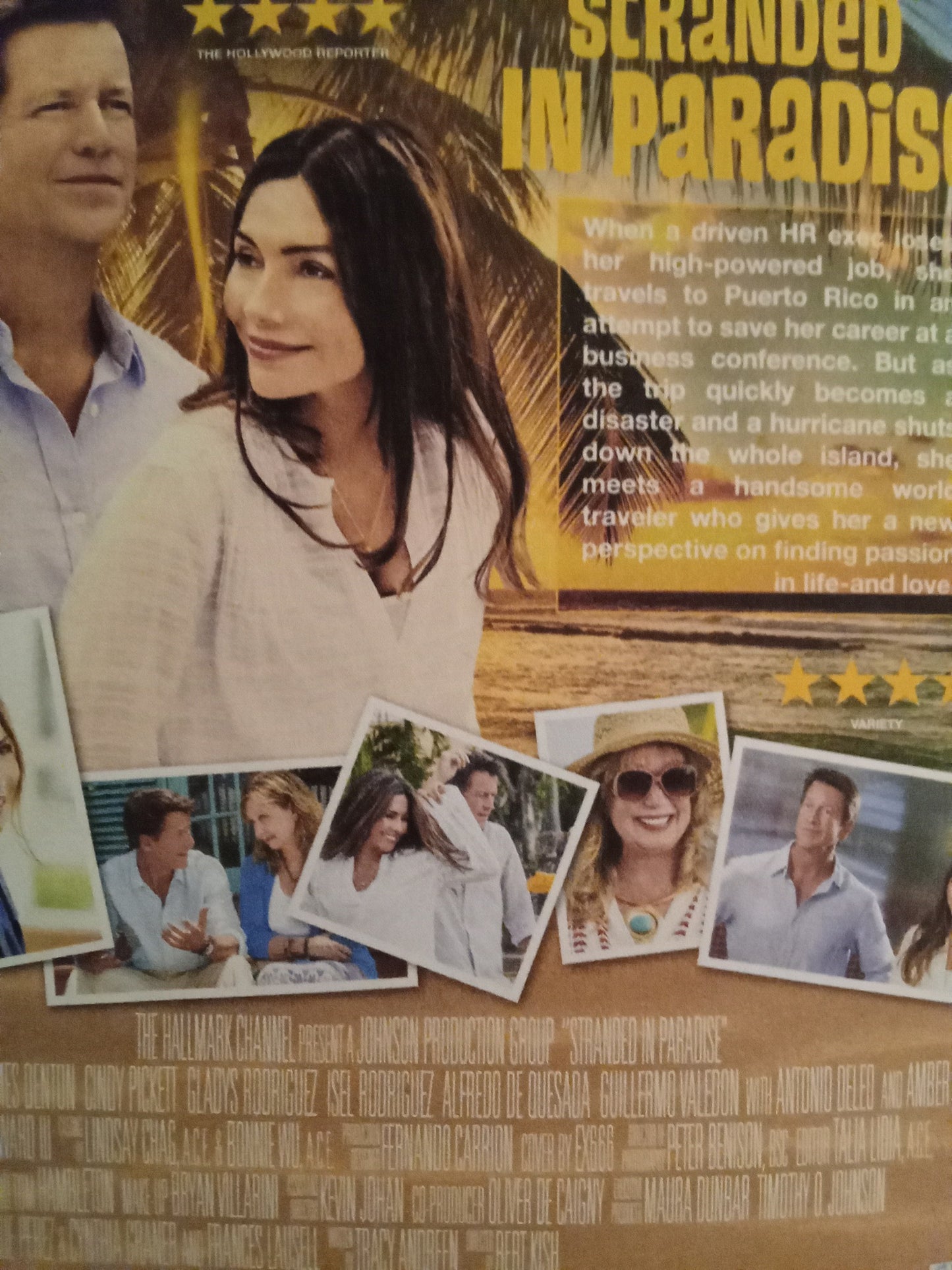 Stranded In Paradise (2014) DVD with Vanessa Marcil & James Denton in a DVD CASE with COVER ART (Coming Aug  18th)