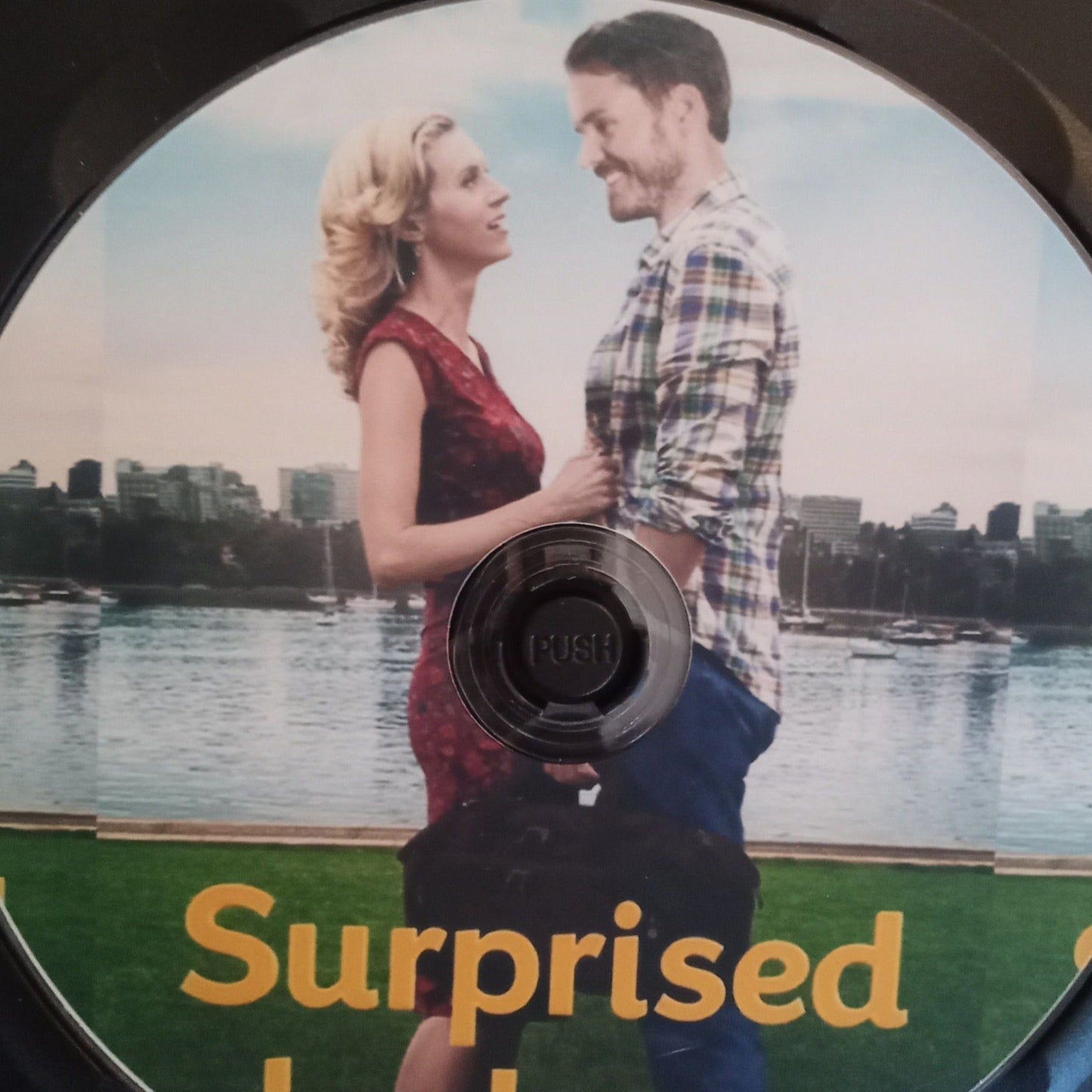 Surprised By Love (2015) DVD with Paul Campbell, Hilarie Burton & TIm Conway (MY #7)