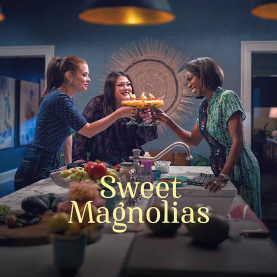 Sweet Magnolia's Season One (2026) DVD (2 discs) with Brooke Elliot, Joanna Garcia