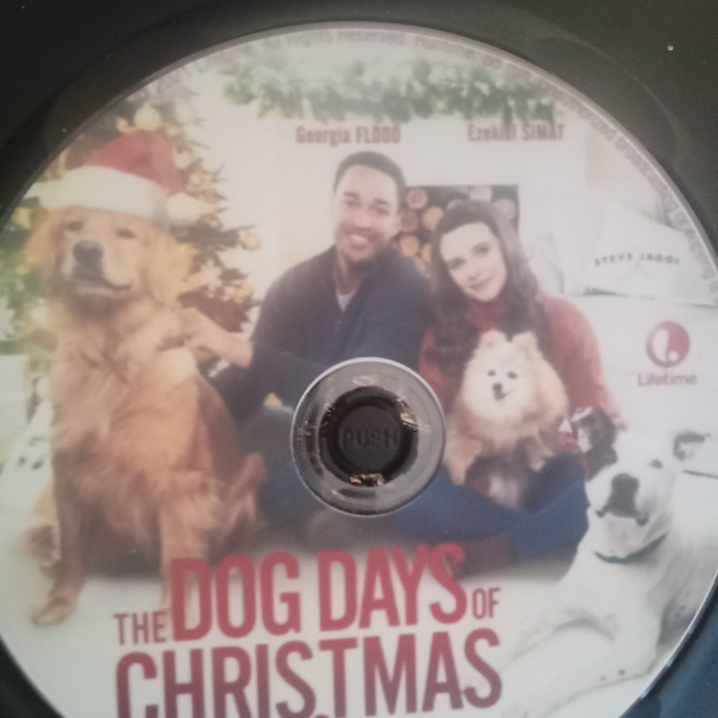 The Dog Days of Christmas (2021) DVD with Georgia Flood