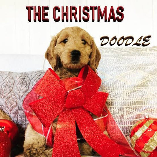 The Christmas Doodle (2021) DVD with Ashley Hayes Wright