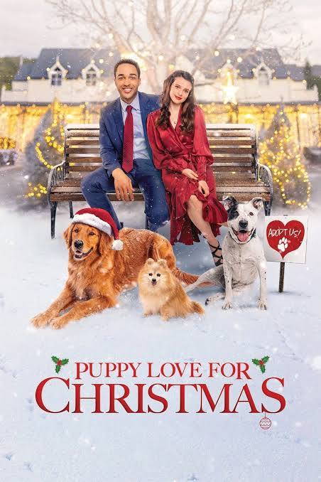 The Dog Days of Christmas (2021) DVD with Georgia Flood