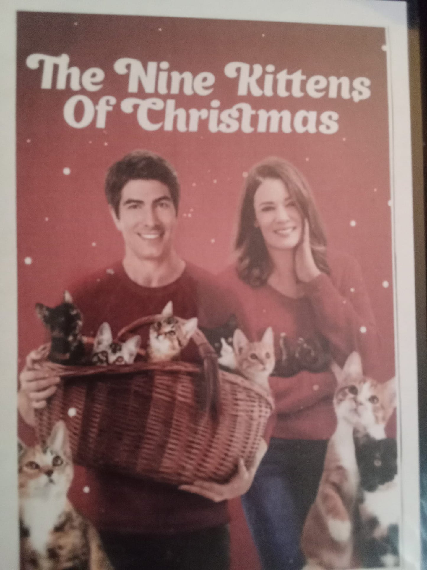 The Nine Kittens of Christmas (2021) DVD with Kimberly Sustad & Brandon Routh in a DVD CASE/COVER ART $10.25