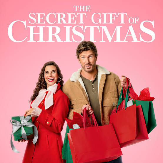 The Secret Gift of Christmas (2023) DVD with Meghan Ory & Christopher Russell in a DVD CASE with COVER ART