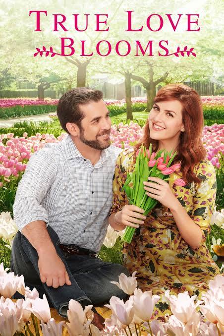 True Love Blooms (2019) DVD with Sara Rue **SUPER SAVER**