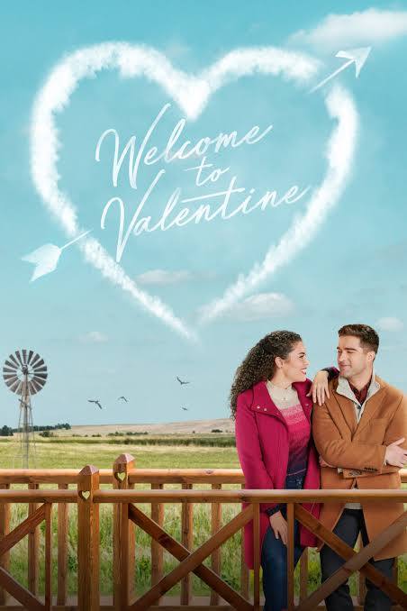 Welcome to Valentine (2025) DVD with Kathryn Davis $12 JACKPOT