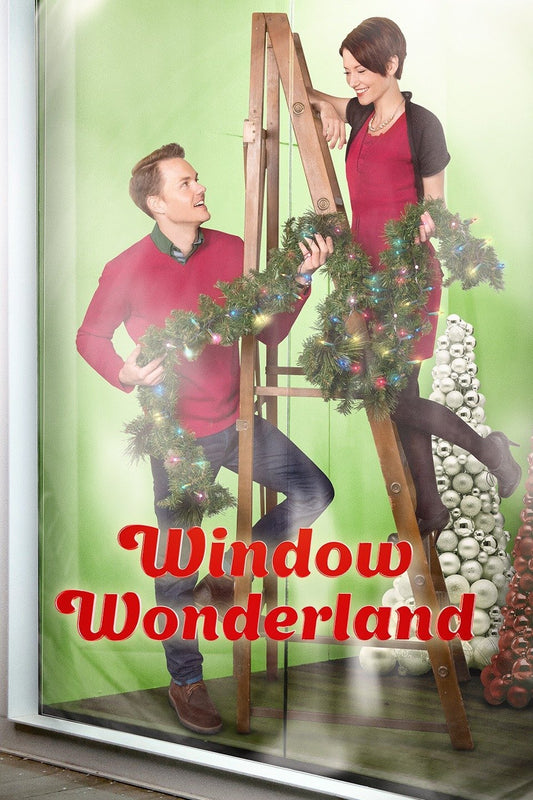 Window Wonderland (2013) DVD with Paul Campbell, Naomi Judd, Cameron Mathison in a DVD CASE with COVER ART
